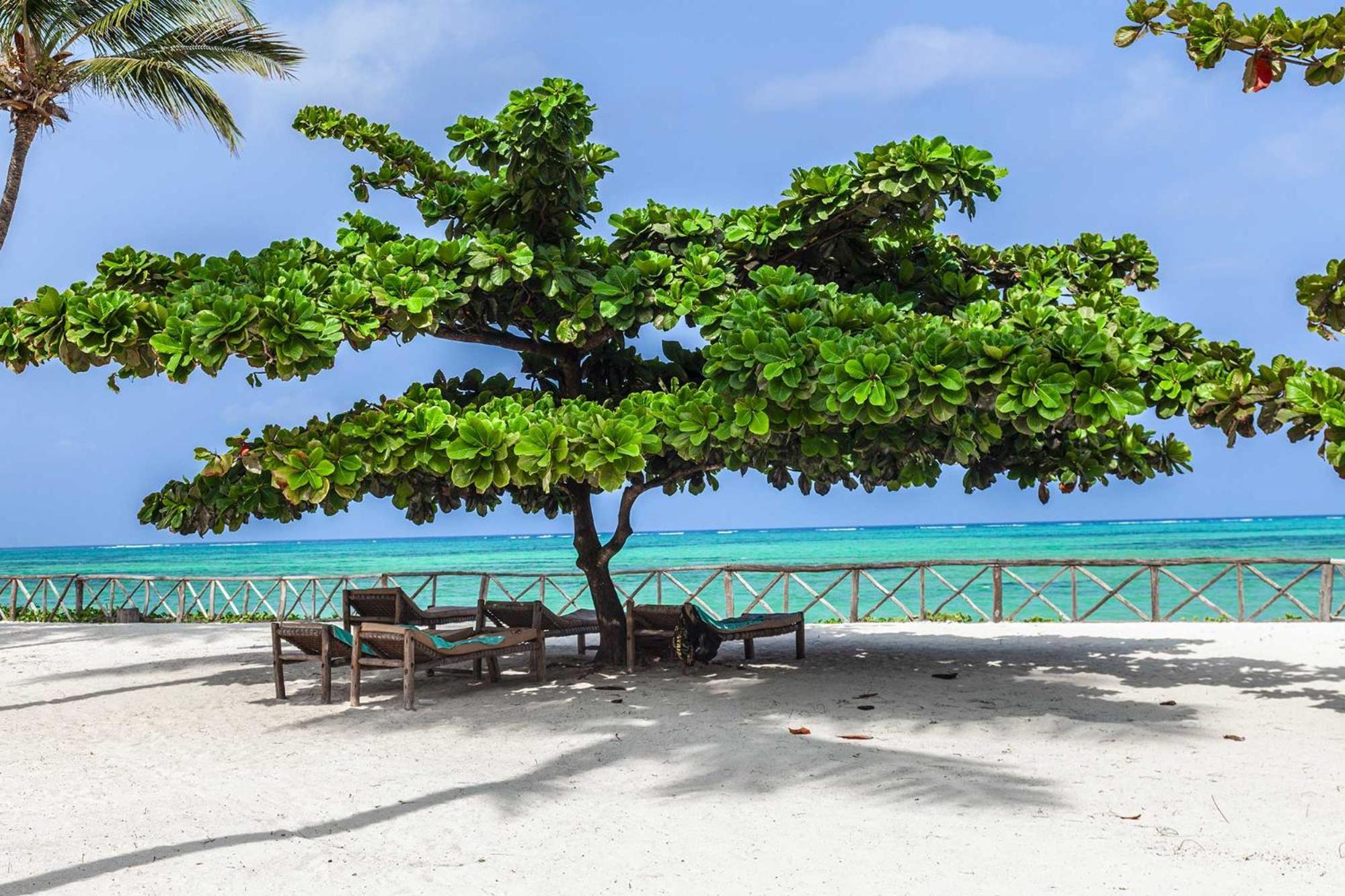 Vrclub Paje Palms Beach Resort Luaran gambar